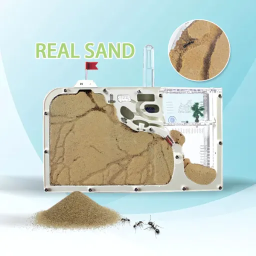 Real ant farm ecosystem